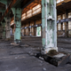 Illustration for article titled Abandoned Shipyard Halls Look Magical After Heavy Rain
